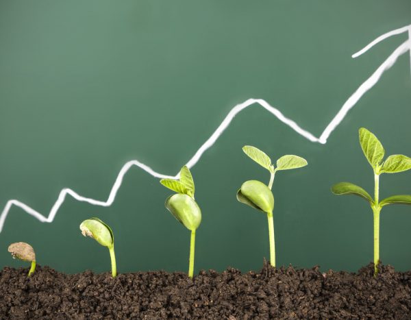 Jan. ’21 Retail Report: After Slow Start, Merchants Look to Spring Upswing